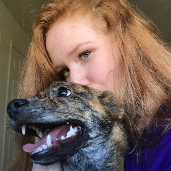 Meet your Posher, Iris - Picture 1 of 1